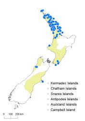 Adiantum aethiopicum distribution map based on databased records at AK, CHR & WELT.
 Image: K.Boardman © Landcare Research 2020 CC BY 4.0